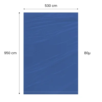 Color.webp