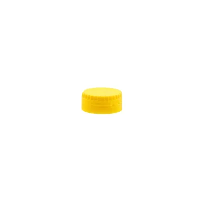 GALBEN+OIL.webp